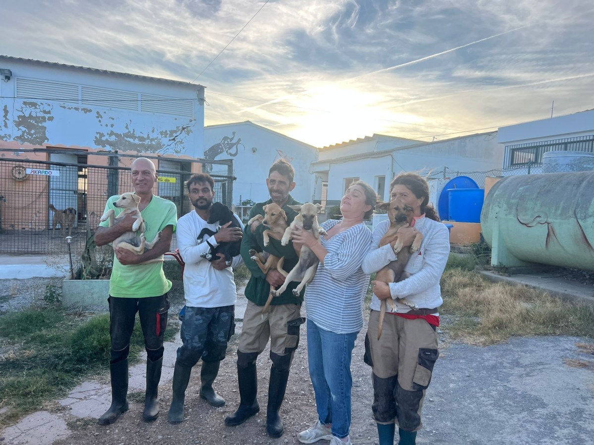 Transport August 2025