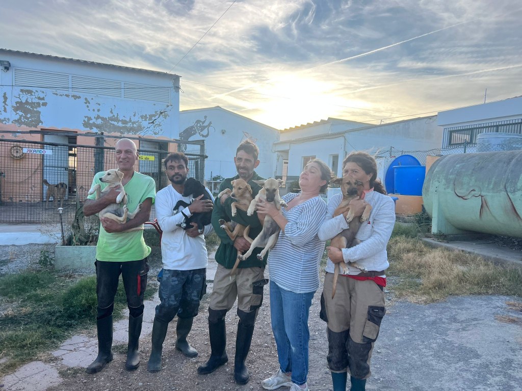 Transport August 2025